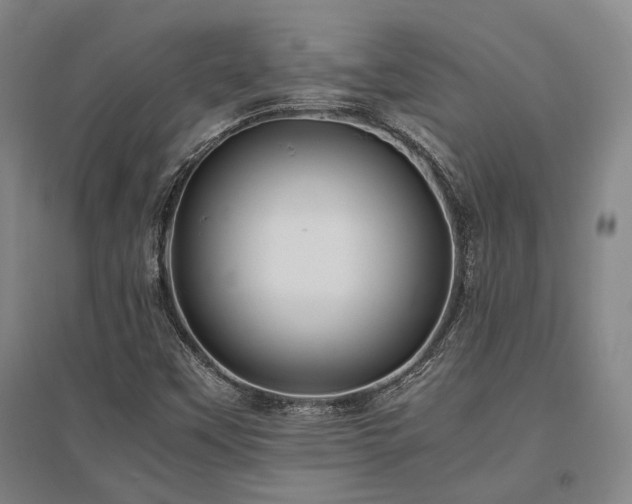 X0000095911451200801111221