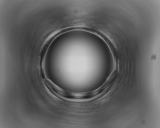 X0000095911452200801111221