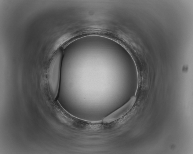 X0000095911453200801111221