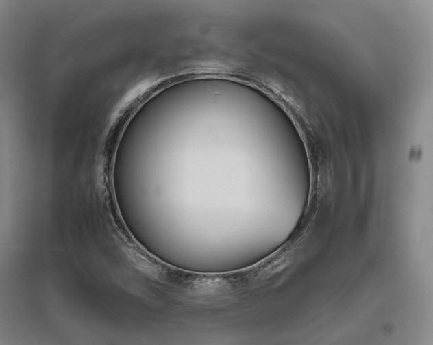 X0000095911454200801111221