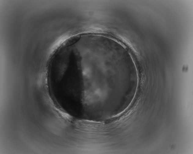 X0000095911455200801111221