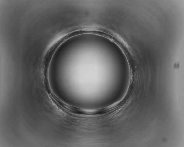 X0000095911456200801111221