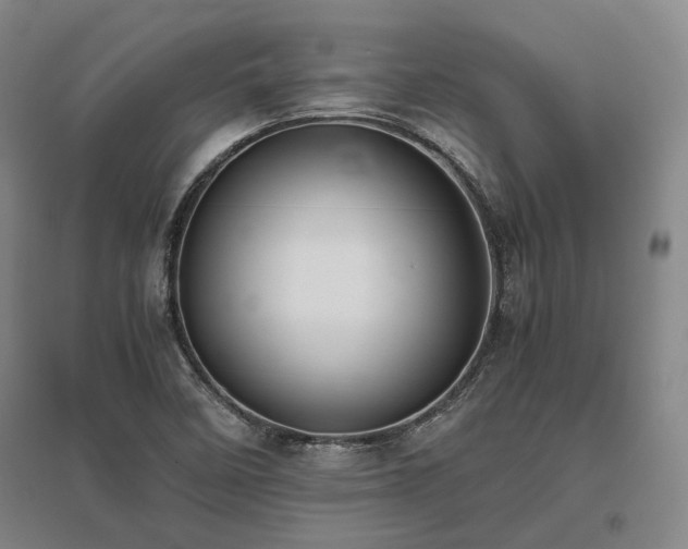 X0000095911458200801111221