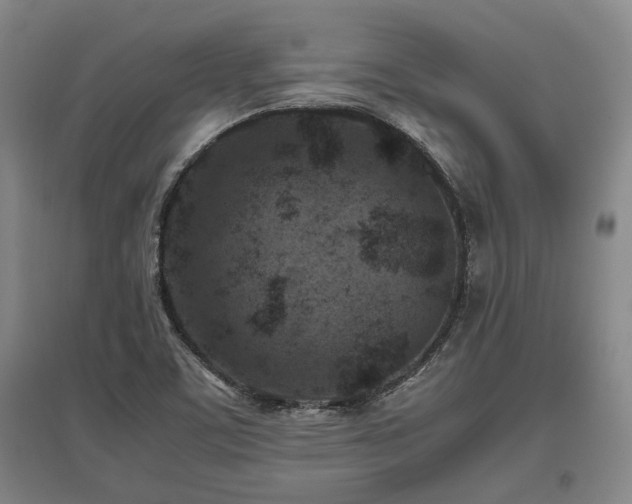 X0000095911459200801111221