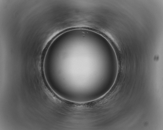 X0000095911460200801111221