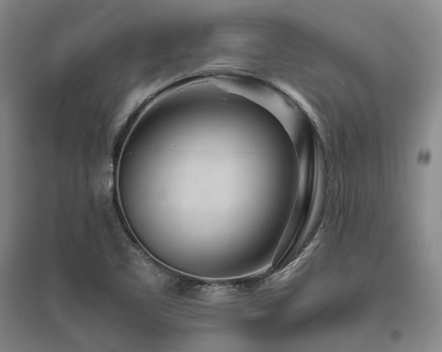 X0000095911461200801111221