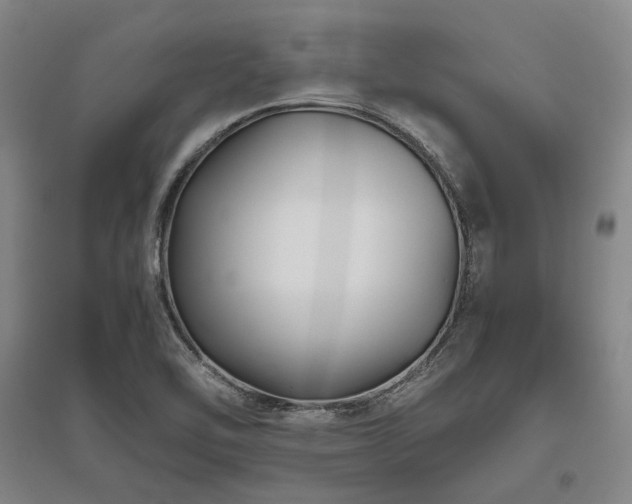 X0000095911462200801111221