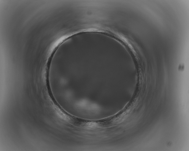 X0000095911463200801111221