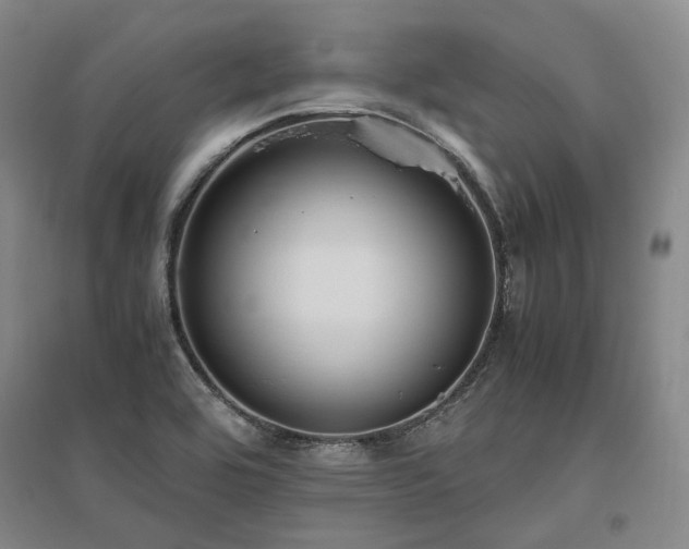 X0000095911464200801111221