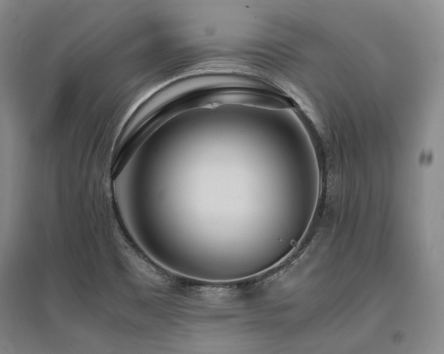 X0000095911465200801111221