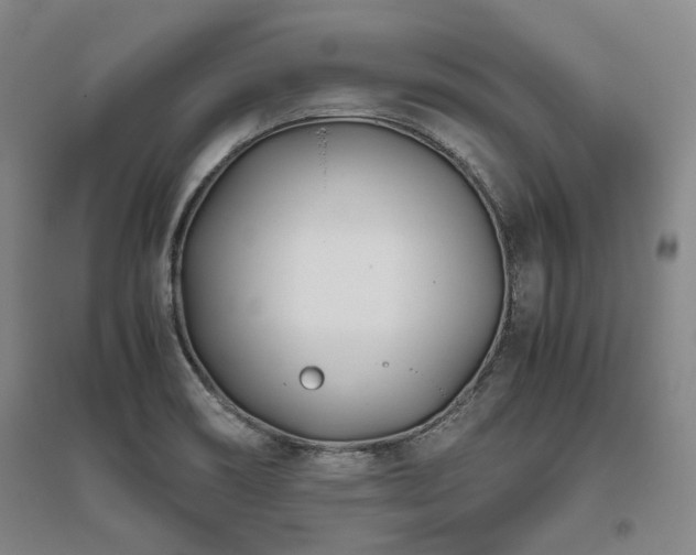 X0000095911466200801111221