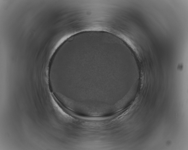 X0000095911468200801111221