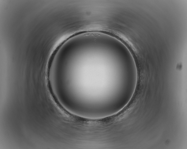 X0000095911469200801111221
