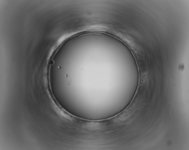 X0000095911470200801111221