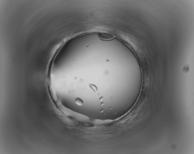 X0000095911471200801111221