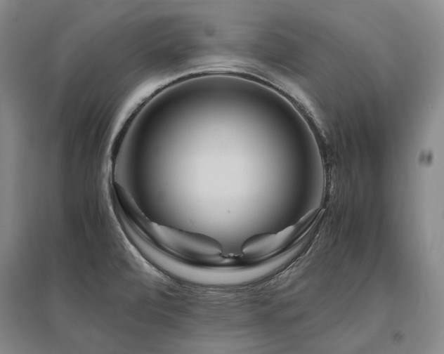 X0000095911472200801111221