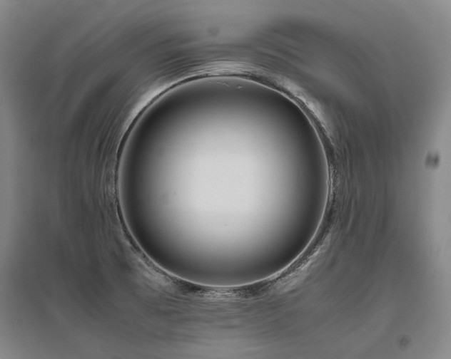 X0000095911473200801111221