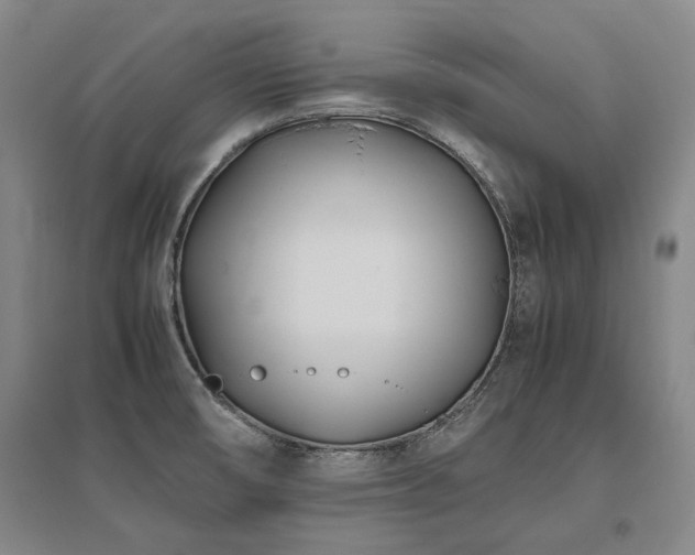 X0000095911474200801111221