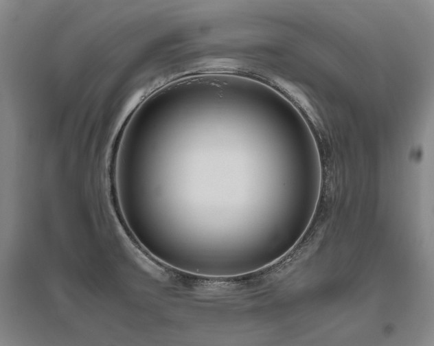 X0000095911475200801111221