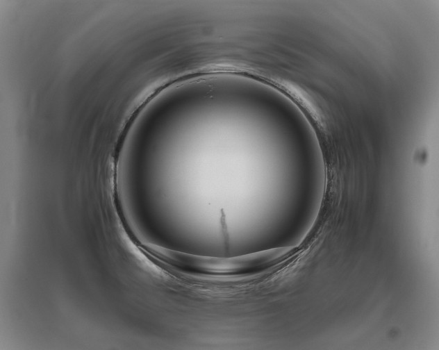 X0000095911476200801111221