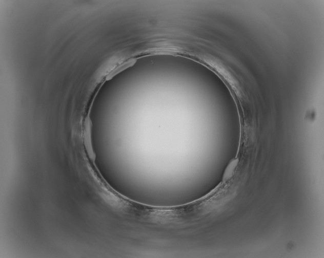 X0000095911477200801111221