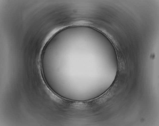 X0000095911478200801111221