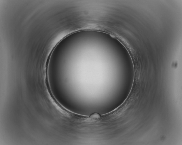 X0000095911479200801111221