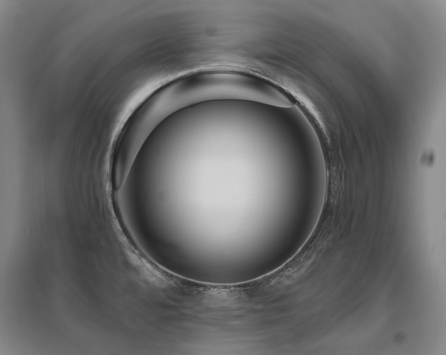 X0000095911480200801111221