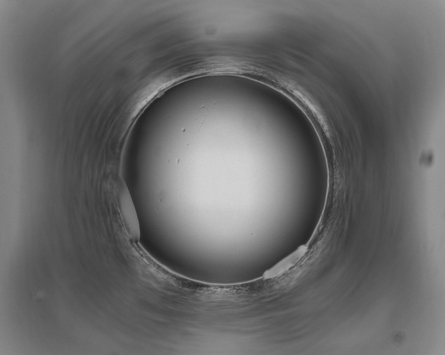 X0000095911481200801111221