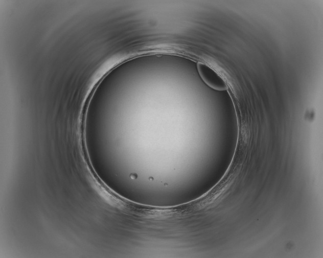 X0000095911482200801111221