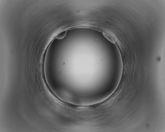 X0000095911483200801111221