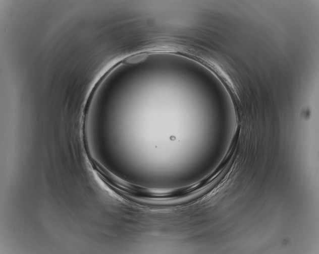 X0000095911484200801111221