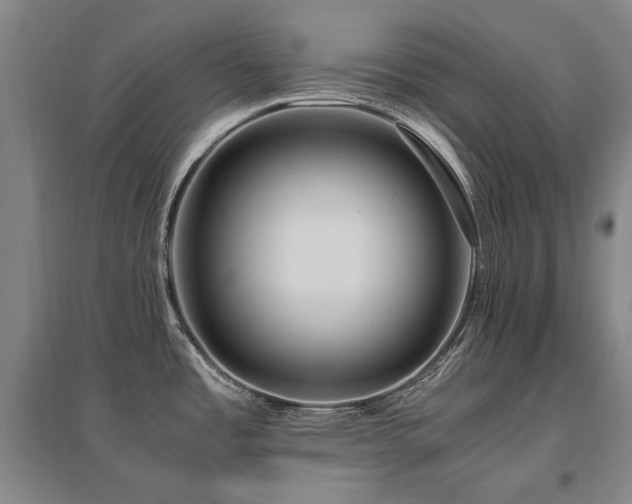 X0000095911485200801111221