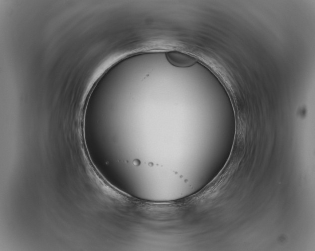 X0000095911486200801111221
