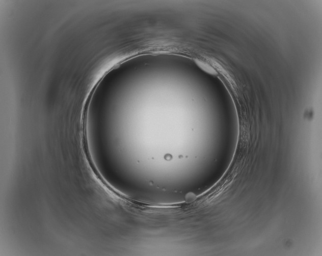 X0000095911487200801111221