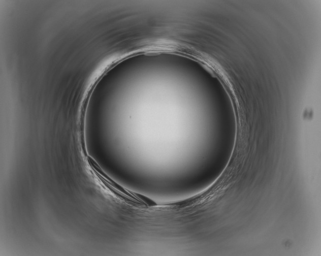 X0000095911488200801111221