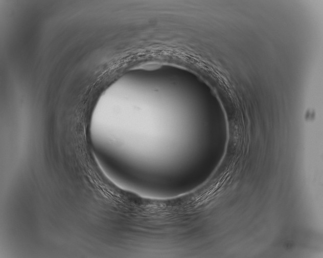 X0000095911489200801111220