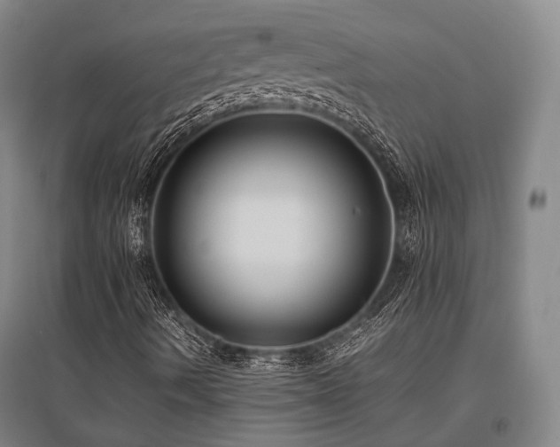 X0000095911490200801111220