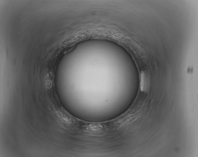 X0000095911491200801111220