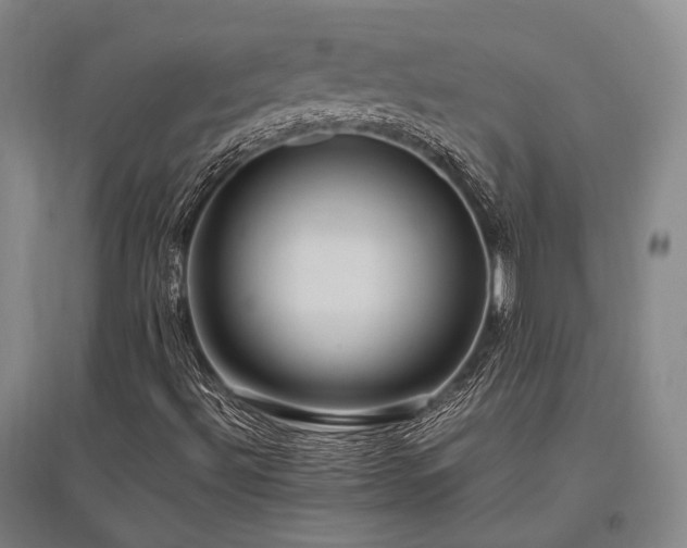 X0000095911492200801111220