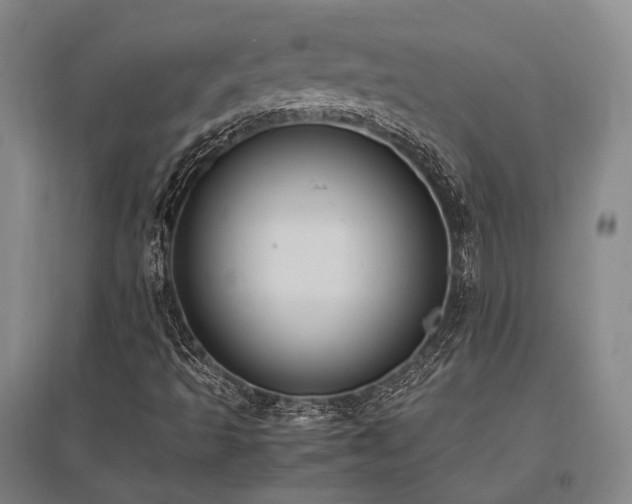 X0000095911493200801111220