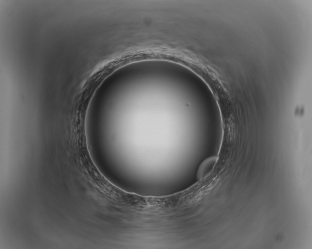 X0000095911494200801111220