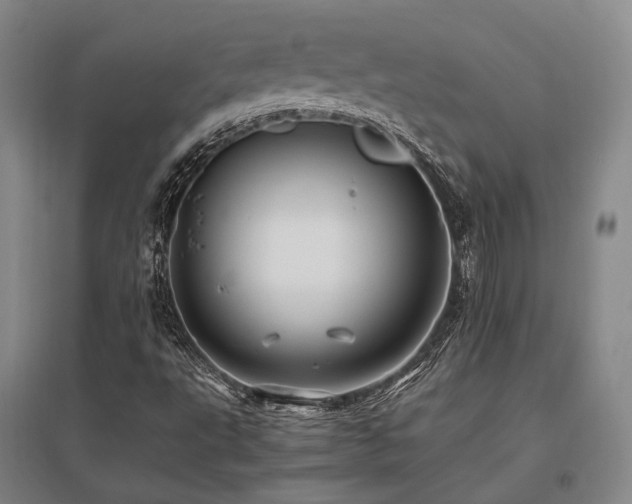 X0000095911495200801111220