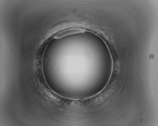 X0000095911496200801111220