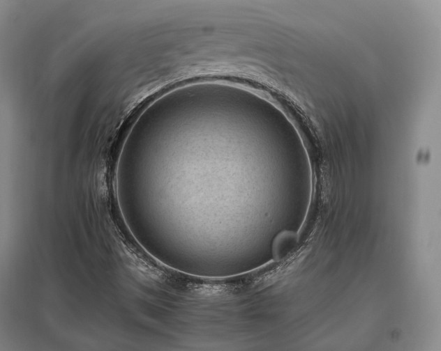 X0000095911497200801111220