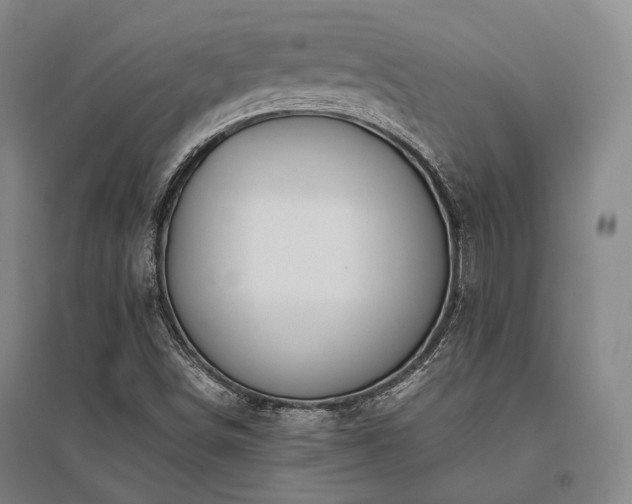 X0000095911498200801111220