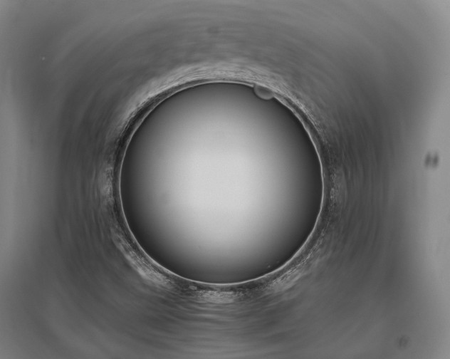 X0000095911499200801111220