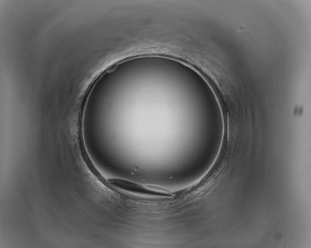 X0000095911500200801111220