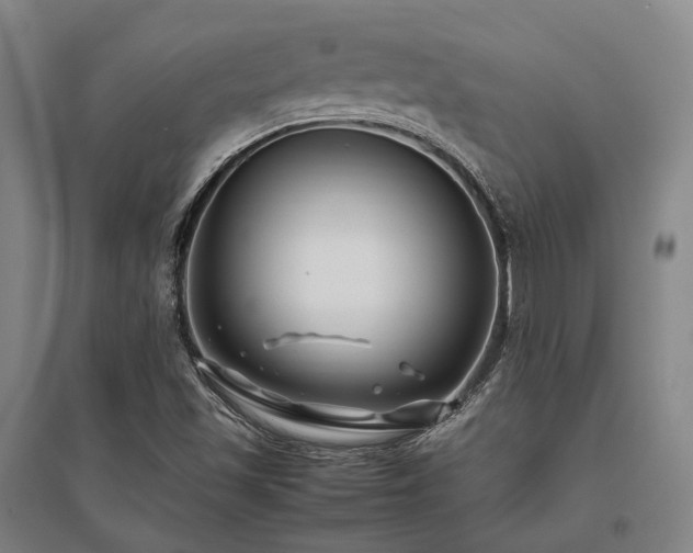 X0000095911501200801111220