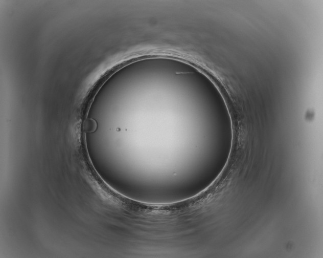 X0000095911503200801111220